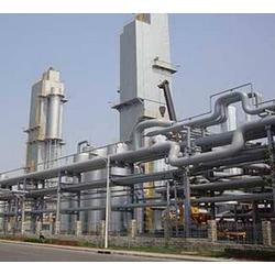 甘肅廠家直銷 批發供應，網絡營銷新篇章